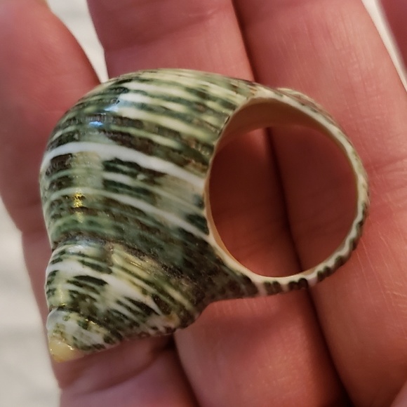 Real shell ring - Picture 2 of 3